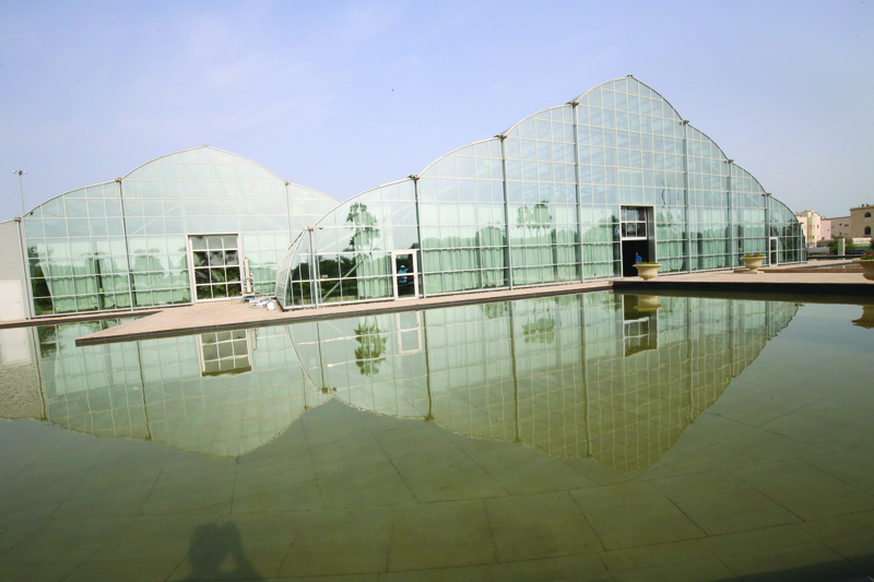 Bayan Botanical Garden - a man-made 'rainforest'