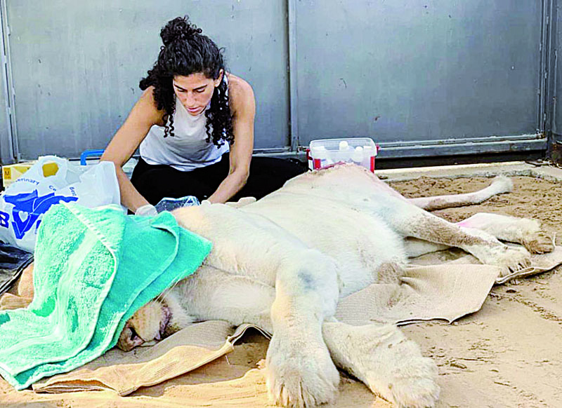 Kuwaiti veterinarian Tamara Qabazard wins Almarai Veterinary Medicine Award