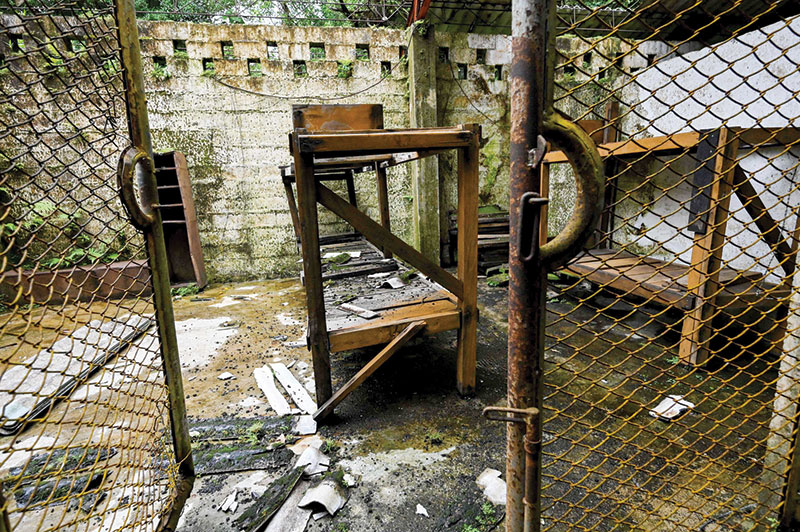 Colombia's forgotten Alcatraz:  The island prison of Gorgona