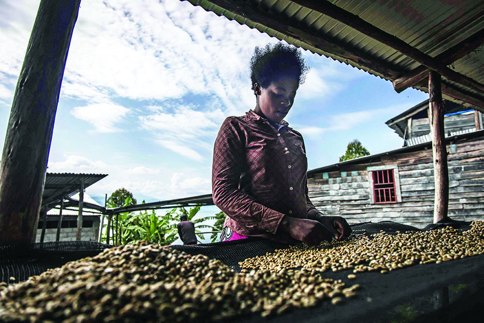 Women sort coffee at the Hala washing station to remove waste and dirt on the island of Idjwi.