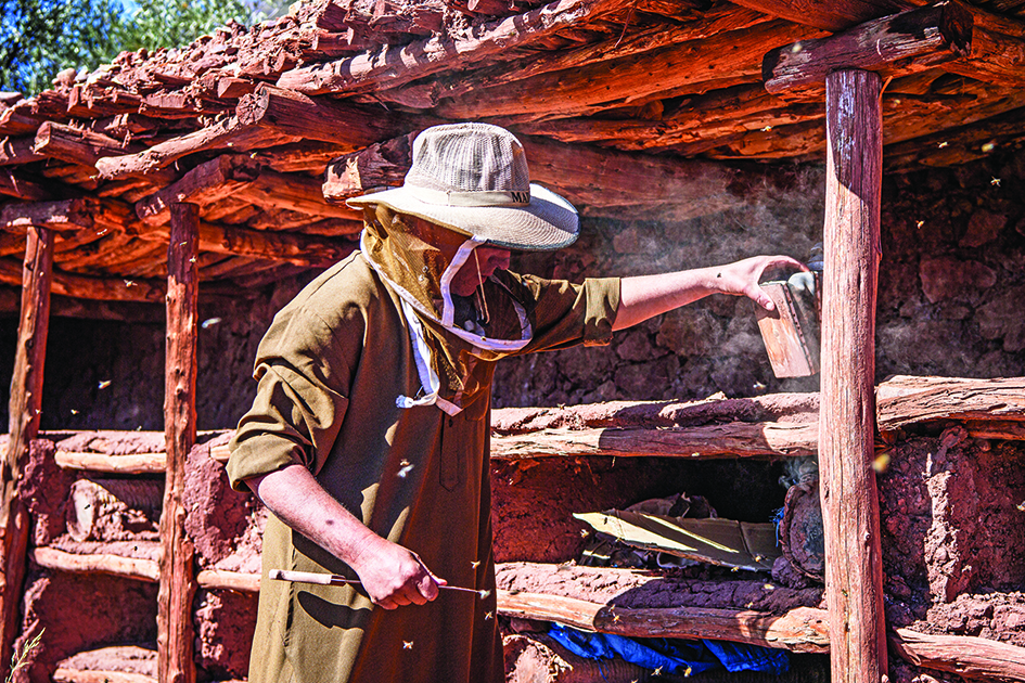 A beekeeper works at the Inzerki Apiary in the village of Inzerki.