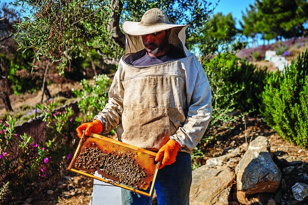 An employee with a mental illness holds a hive of bees at the agricultural farm “The Caserma of Herbs”. 