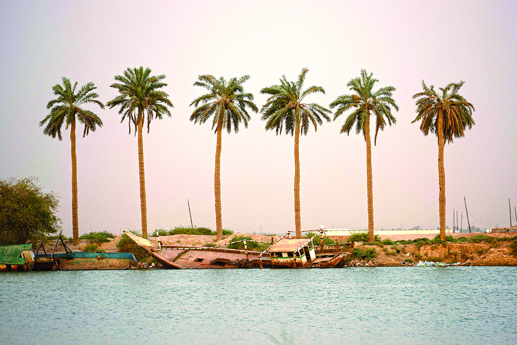 Palm trees stand at sunset near the Shatt al-Arab waterway in the southern Iraqi city of Basra.