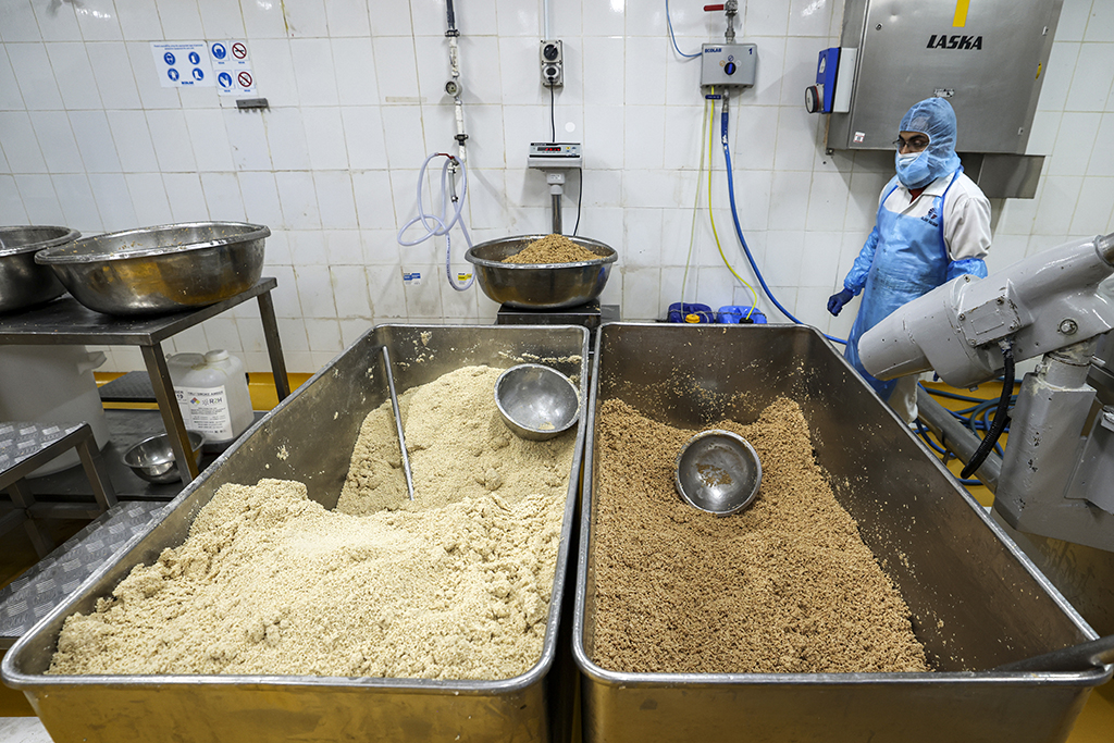 A worker prepares a salicornia plant-based mix to be made into burger patties at a food processing plant in the Gulf emirate of Sharjah.