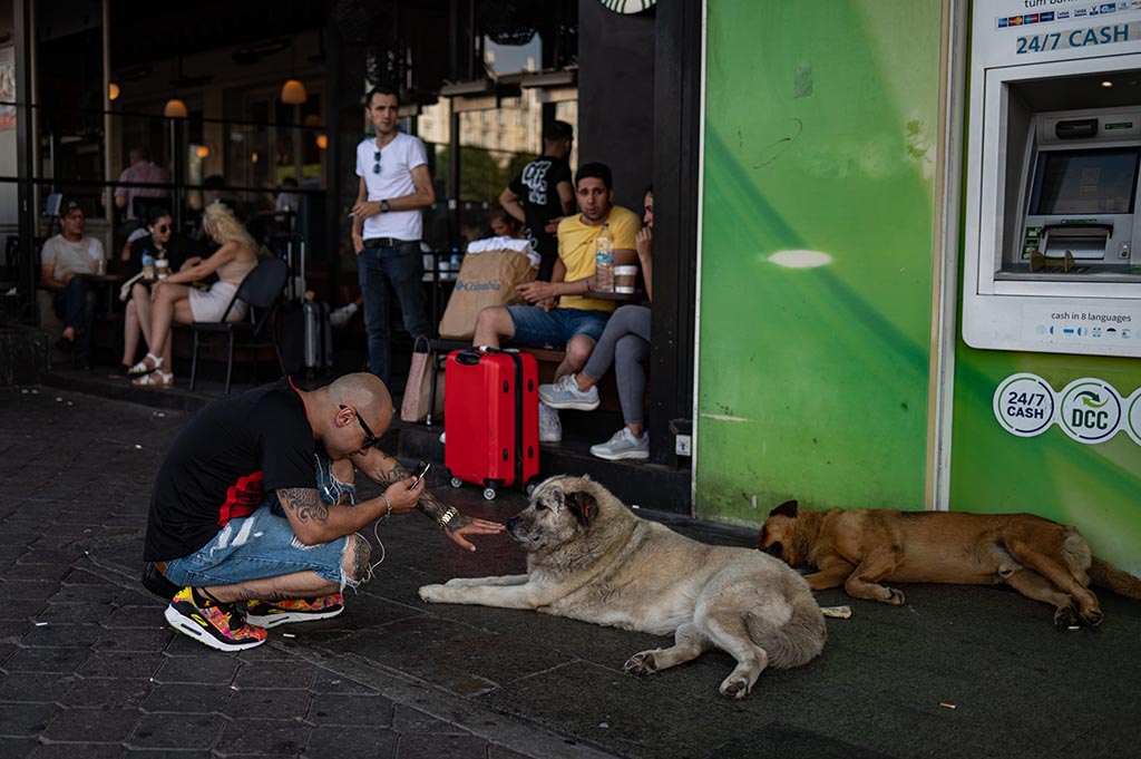 A man pets a stray dog near Taksim Square in Istanbul.