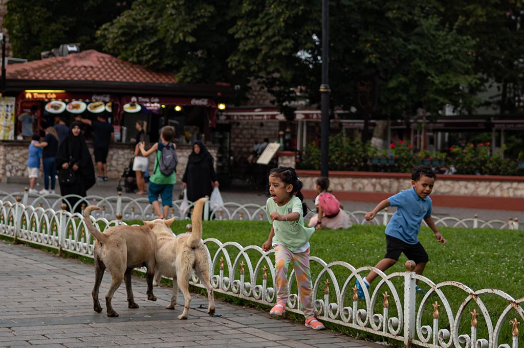 A girl, frightened by the stray dogs, runs away near of the Blue Mosque, in Istanbul.