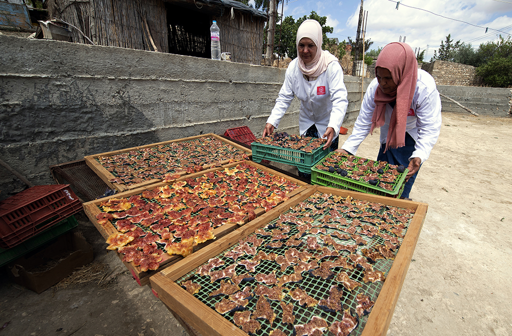 Women place figs to dry in the Tunisian town of Djebba, southwest of the capital Tunis.