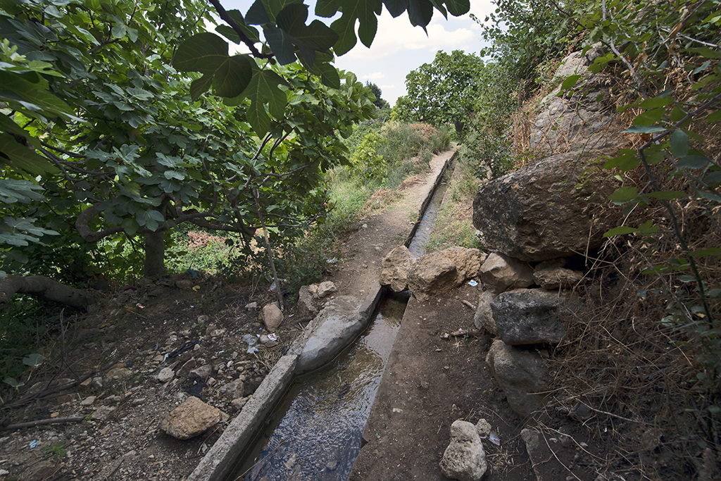 An irrigation system is pictured amidst fig trees in the Tunisian town of Djebba, southwest of the capital Tunis.