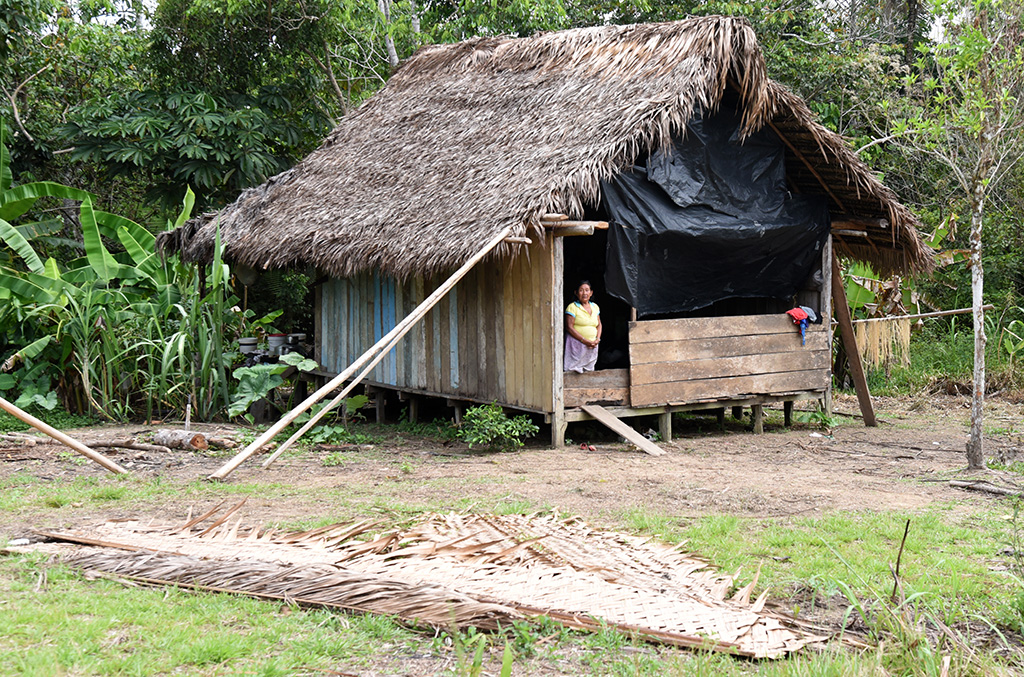 A Tikuna indigenous woman stands on her house in San Martin de Amacayacu, Colombia.