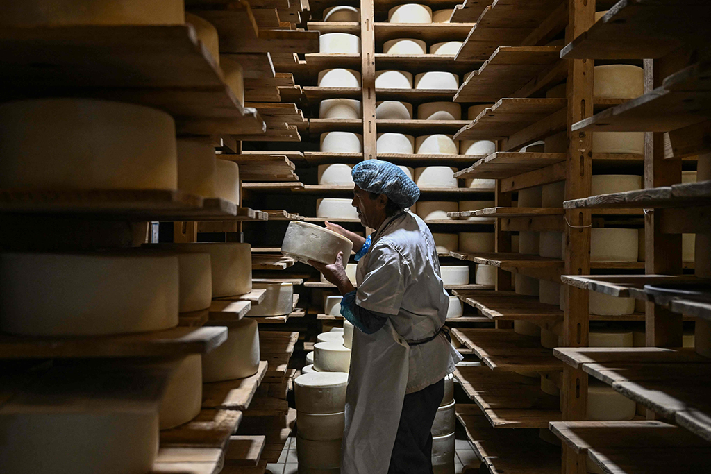 An employee holds Graviera cheese wheels at a cheese factory.