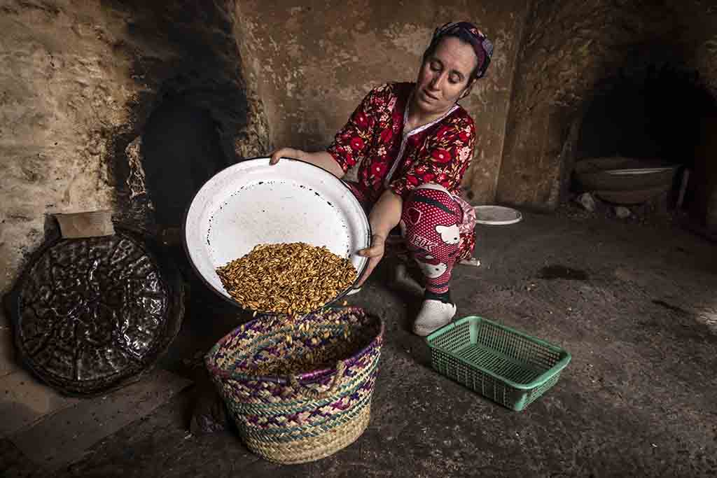 A woman empties roasted Argan nuts into a basket as she makes oil, at a house near Morocco's western Atlantic coastal city of Essaouira.