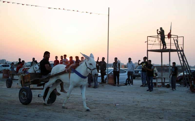 Bahrain donkey races draw crowds and condemnation
