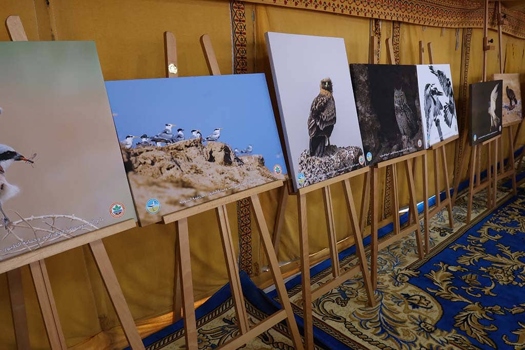 Photographs of birds displayed during the exhibition.