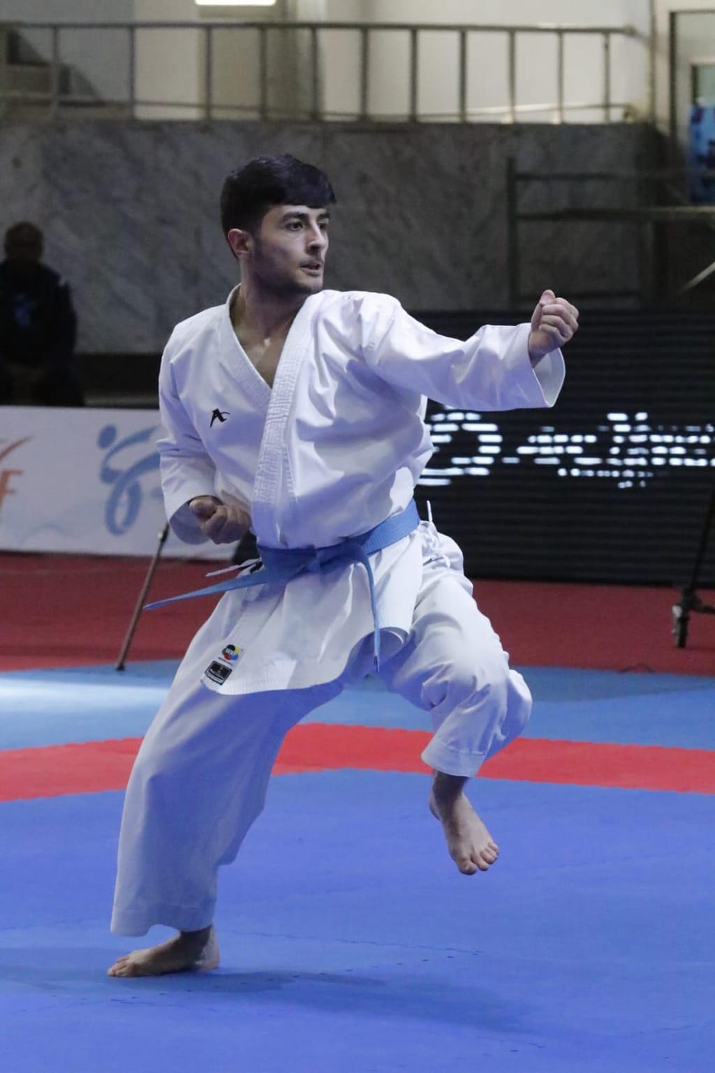 5th Arab clubs Karate Championship ends