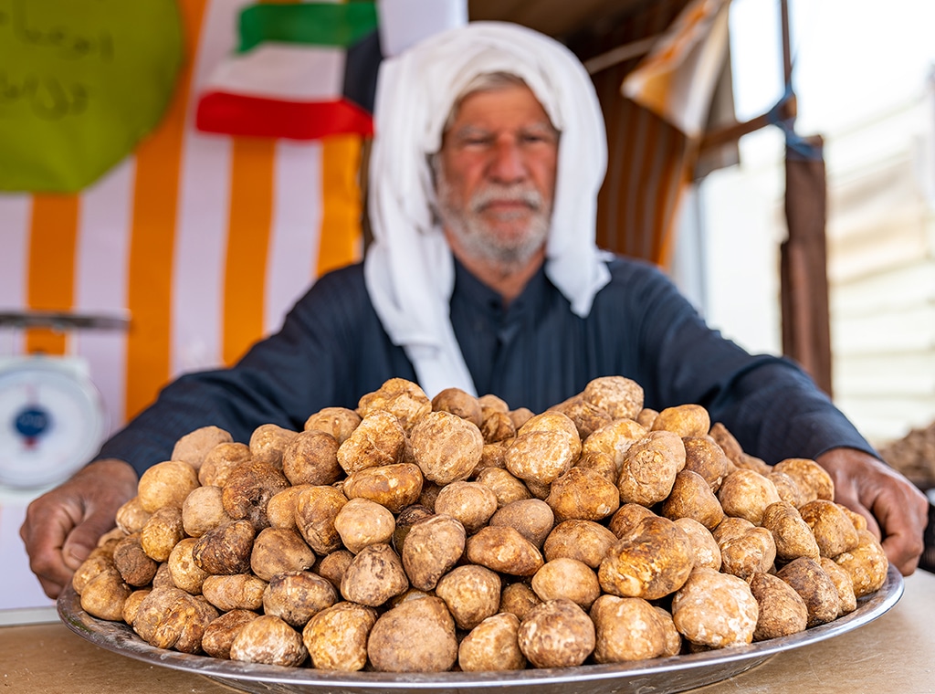 The truffle harvesting season starts in Al-Wasem.