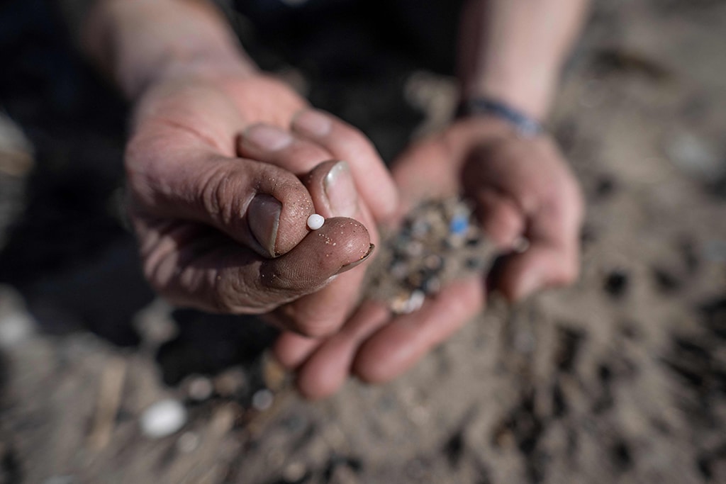 A volunteer shows nurdles collected during a beach clean organised on the Tregantle beach part of the Whitesand Bay, near Freathy, south western England.