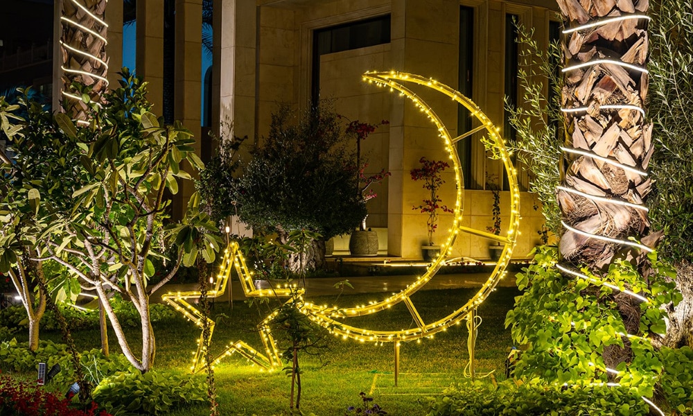 the crescent and star among the palms