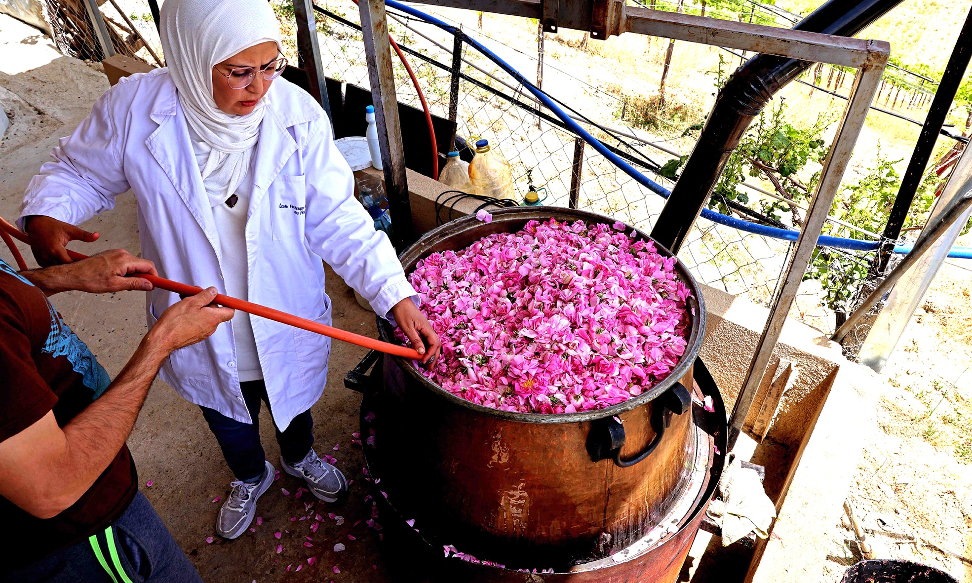 Zahraa Sayed Ahmed produces rose water from Damascena (Damask) roses, at her house in the village of Qsarnaba.