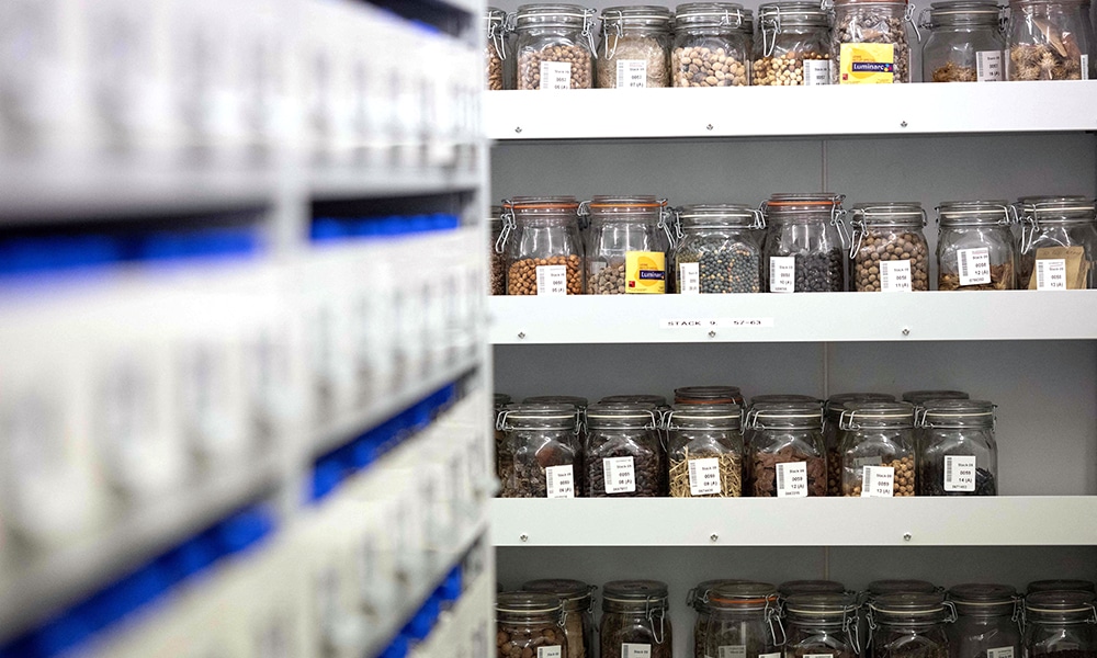 Seeds are stored at a temperature of -18 degrees celsius in the Kew Millennium Seed Bank in Wakehurst.