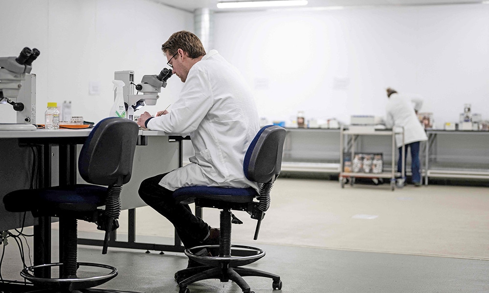 A scientist analyses seeds in the Kew Millennium Seed Bank in Wakehurst.