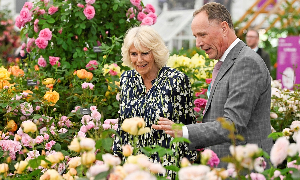 Britain's Queen Camilla views David Austin roses with David JC Austin during a a visit to the 2023 RHS Chelsea Flower Show in London.--AFP photos