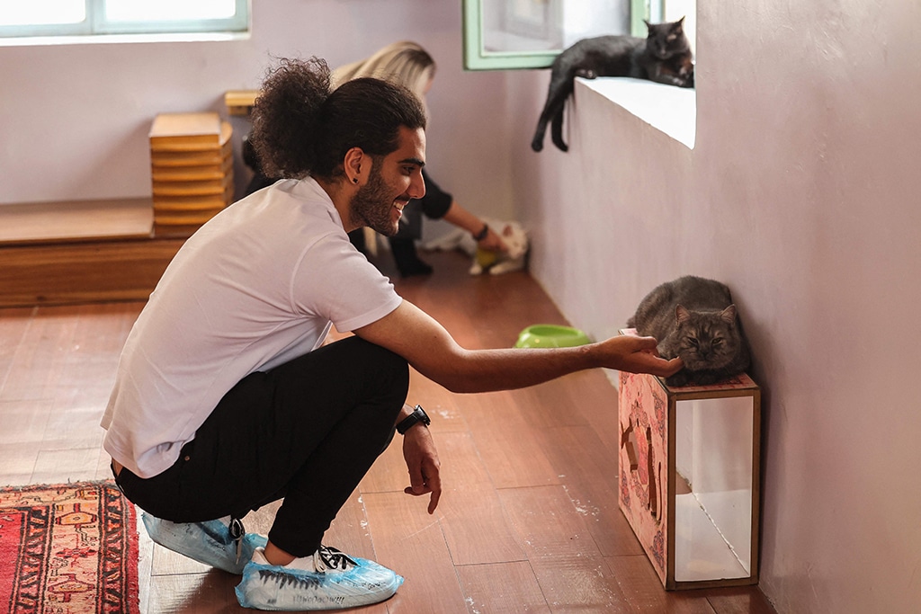 Purrfect for Persians: Tehran’s ‘meowseum’