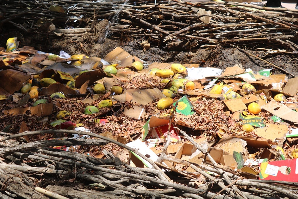 Pakistan embassy composts mango festival waste